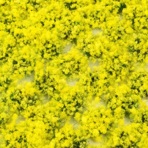 ROŚLINY KRZEWY NA MAKIETĘ 6 mm NARCYZE 100 szt ROŚLINY KRZEWY NA MAKIETĘ 6 mm NARCYZE 100 szt