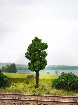 AAP DRZEWKO NA MAKIETĘ / DIORAMĘ 75 mm S170175