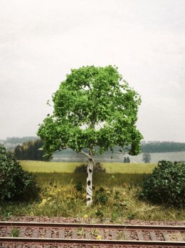 DRZEWKO NA MAKIETĘ / DIORAMĘ 10 cm T107 BRZOZA