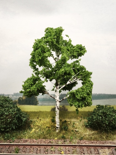 DRZEWKO NA MAKIETĘ / DIORAMĘ 12 cm T107 BRZOZA