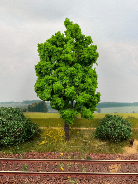 DRZEWKO NA MAKIETĘ / DIORAMĘ 140 cm T50 DRZEWKO NA MAKIETĘ / DIORAMĘ 140 cm T50
