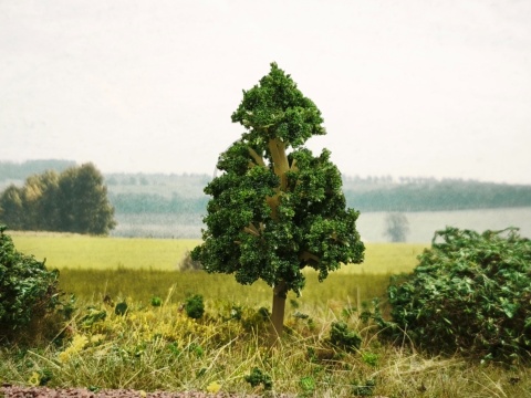 DRZEWKO NA MAKIETĘ / DIORAMĘ 6,5 cm S030165