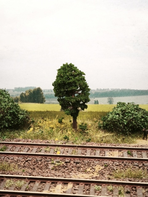 DRZEWKO NA MAKIETĘ / DIORAMĘ 7 CM S020170