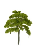 Drzewko na makietę / dioramę 10 cm S230610