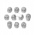 GREEN STUFF WORLD - 3D PRINTED SKULL % BONES - CZASZKI DRUK 3D 85 SZT 1343