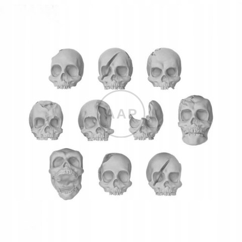 GREEN STUFF WORLD - 3D PRINTED SKULL % BONES - CZASZKI DRUK 3D 85 SZT 1343